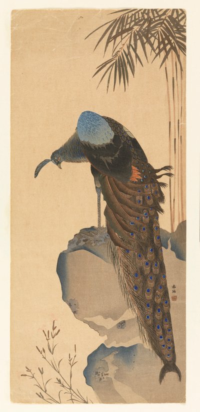 Pavo real de Unknown artist