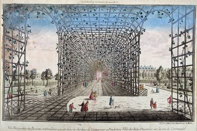 Vista en perspectiva de la cuna maravillosa que está en el Jardín del Gobernador en Pondichery (Pondicherry), ciudad de las Indias Orientales en la costa de Coromandel - grabado de Unknown artist