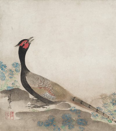 Pheasant de Unknown artist