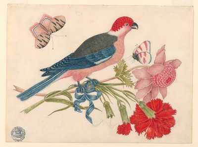 Pájaro rosa, rojo, azul y negro en rama con flores y mariposas de Unknown artist