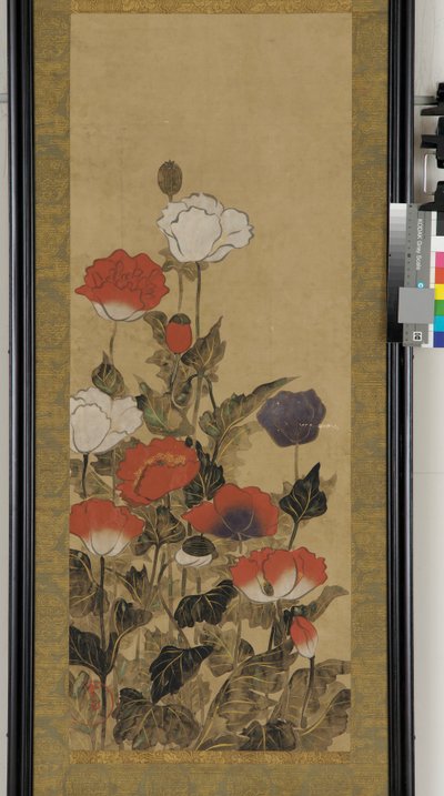 Amapolas de Unknown artist
