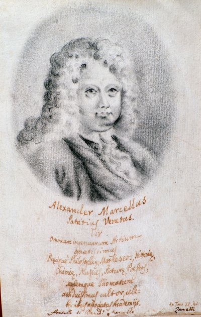 Retrato de Alessandro Marcello (dibujo) de Unknown artist