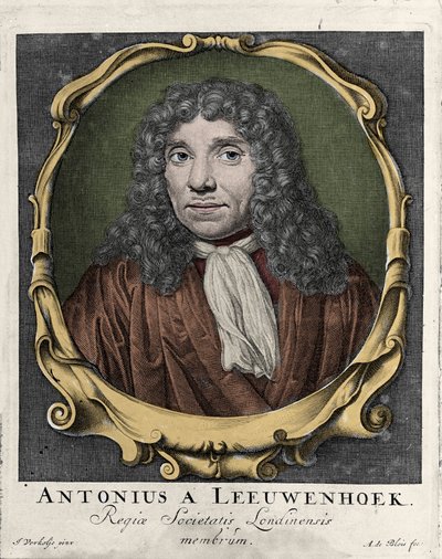 Retrato de Antonie Van Leeuwenhoek o Anton van Leeuwenhoek, o Leeuvenhoek, o Leeuwenhoeck. Naturalista holandés (1632-1723). Grabado de 1722 de Unknown artist