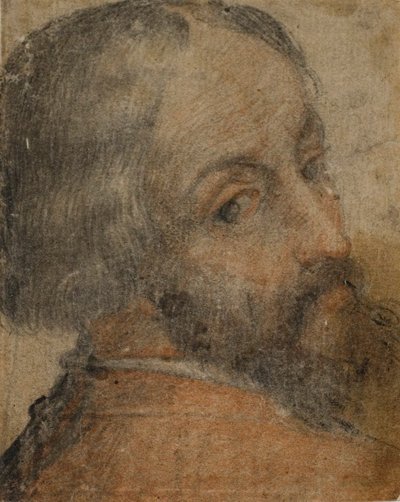 Retrato de hombre barbudo (¿Lodovico Ariosto) de Unknown artist