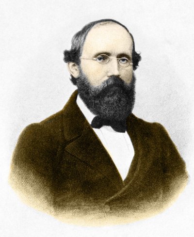 Retrato de Bernhard Riemann (1826-1866), matemático alemán de Unknown artist