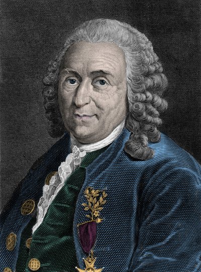 Retrato de Charles Linne (Carl von Linne, Linneo 1707-1778), naturalista sueco. Grabado del siglo XIX de Unknown artist