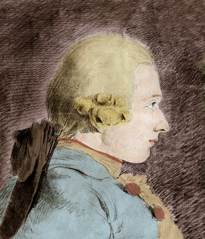 Retrato de Donatien Alphonse François de Sade (1740-1814) (Marqués de Sade) - después de Van Loo de Unknown artist