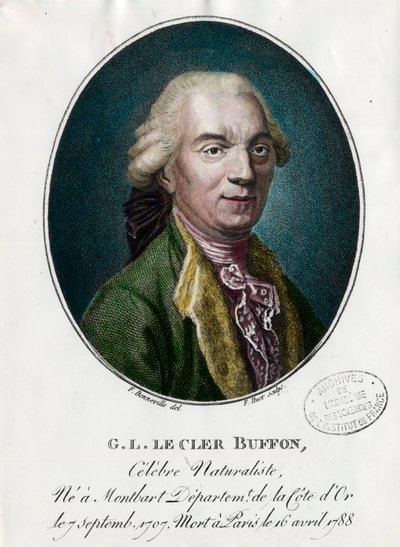 Retrato de George Louis Le Clerc, Conde de Buffon de Unknown artist