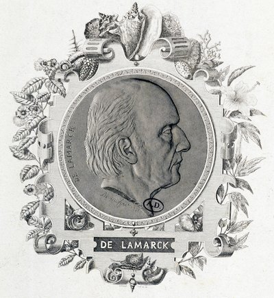 Retrato de Jean Baptiste Lamarck - grabado de Unknown artist