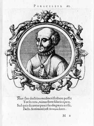 Retrato de Philipp Aureolus Theophrast Bombast von Hohenheim Paracelsus de Unknown artist