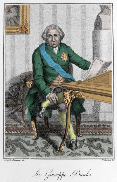 Retrato de Sir Joseph Banks (1743-1820), explorador y naturalista inglés. Grabado en color de Unknown artist