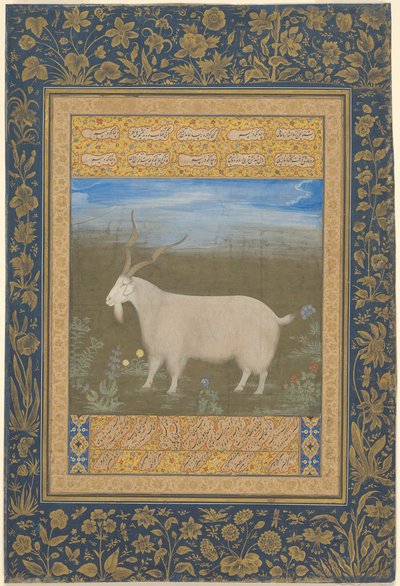 Retrato de una cabra montesa de Ladakh de Unknown artist