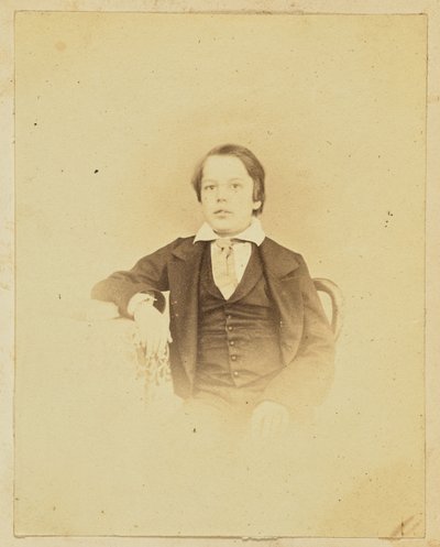[Retrato de un joven] de Unknown artist