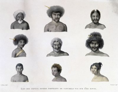 Retratos de los papúes de la isla de Rawak de Unknown artist