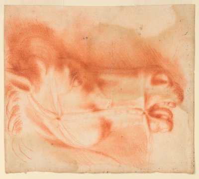 Perfil de la Cabeza de un Caballo con Brida Mostrada en Perfil de Unknown artist
