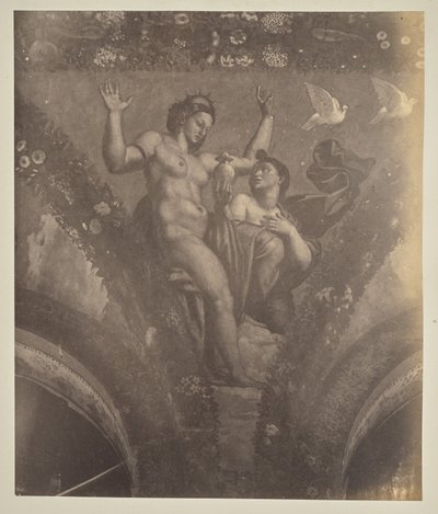 Psique entrega la vasija a Venus de Unknown artist