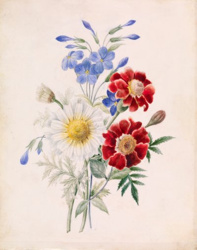 Flores rojas y azules y margarita blanca de Unknown artist