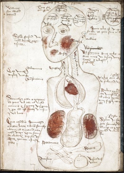 Representación de una teoría aristotélica de la conciencia (De: De corpore et anima) - Anónimo - 1497 - Acuarela sobre pergamino - 22x15,8 - Biblioteca de la Universidad John Rylands de Unknown artist