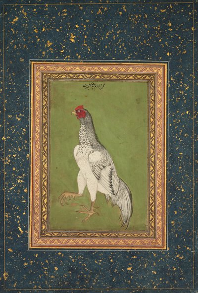 Gallo de Unknown artist