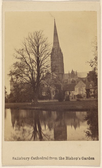 Catedral de Salisbury desde el Jardín del Obispo de Unknown artist