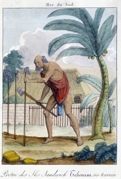 Sacerdote de las Islas Sandwich golpeando un campo de Unknown artist