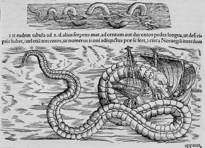 Serpiente marina, criatura marina según Conrad Gesner de Unknown artist