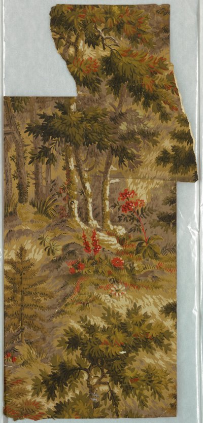 Papel pintado de Unknown artist