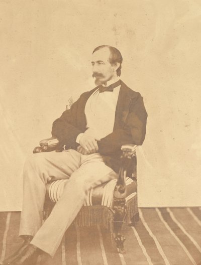 Sir Bartle Frere de Unknown artist