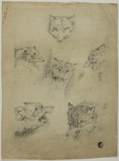 Seis bocetos de cabezas de lobo de Unknown artist
