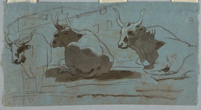 Bocetos de toros de Unknown artist
