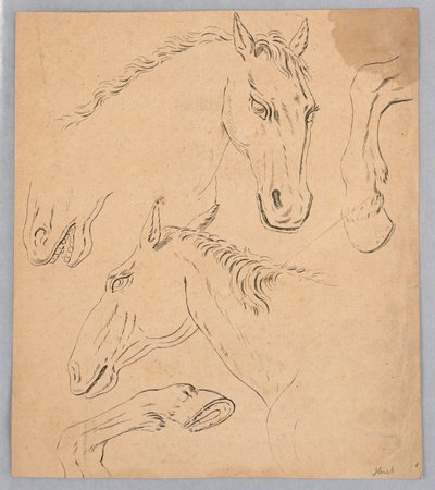 Bocetos de Cabezas y Pezuñas de Caballos de Unknown artist