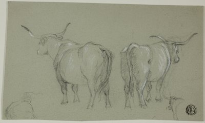 Bocetos de ganado blanco de la Maremma de Unknown artist