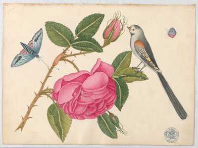 Pequeño pájaro blanco y negro en hoja de rosa con flores y mariposas de Unknown artist