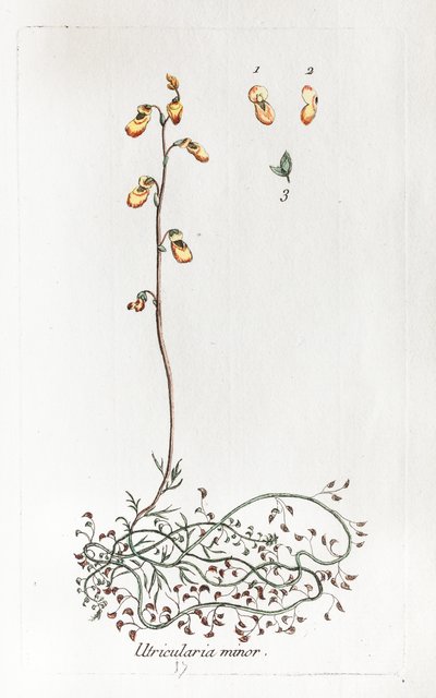  de Unknown artist