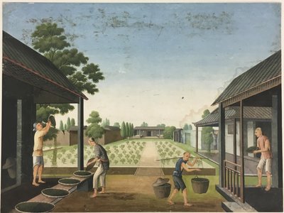 Hilado de tela, Preparación de las hojas de té, Preparación de la seda de Unknown artist