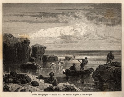 Pesca de esponjas por los isleños de la isla Anastasia de Unknown artist