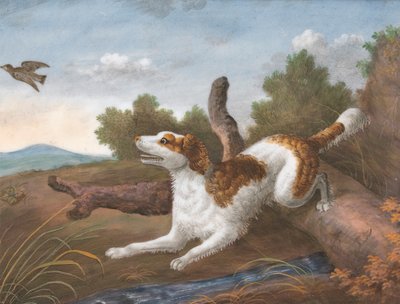 Springer: Un Spaniel saltando por encima de un tronco para soltar un Snipe a la izquierda de Unknown artist