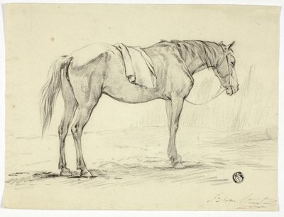 Caballo de pie de Unknown artist