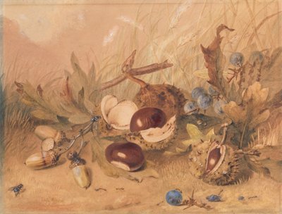 Bodegón con bellotas y castañas de Indias de Unknown artist