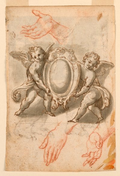 Estudios de manos y putti con un escudo de Unknown artist