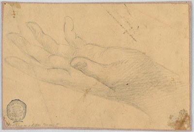 Estudio: Una mano izquierda de Unknown artist