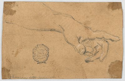 Estudio: Un antebrazo y mano izquierda extendidos de Unknown artist