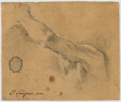 Estudio: El brazo izquierdo y las partes vecinas del cuerpo de un hombre anciano de Unknown artist
