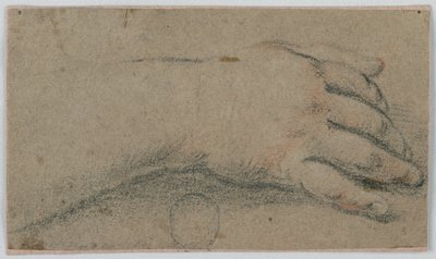 Estudio: La mano derecha de una mujer de Unknown artist