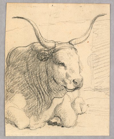 Estudio: una vaca acostada de Unknown artist