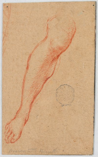 Estudio para la pierna derecha de una mujer sentada de Unknown artist