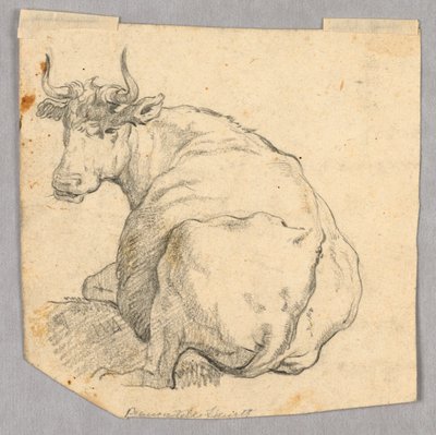 Estudio de una Vaca de Unknown artist