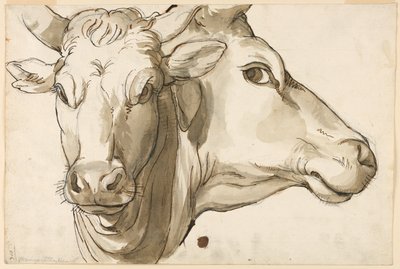 Estudio de una Vaca de Unknown artist