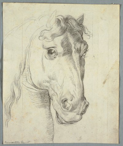 Estudio de un Caballo de Unknown artist