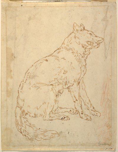 Estudio de un perro pastor de Unknown artist